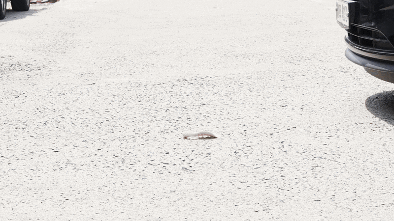 B104-13.gif
