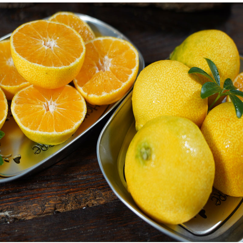 제주하우스마켓 황금향 가정용 3kg 20과